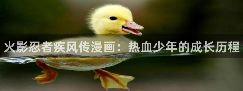 季节之交漫画全集免费韩漫：火影忍者疾风传漫画：热血少年的成长历程