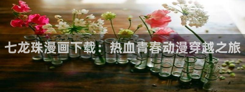 h韩漫网站在线观看：七龙珠漫画下载：热血青春动漫穿越之旅