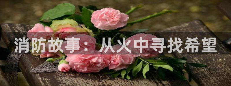 韩漫画入口：消防故事：从火中寻找希望