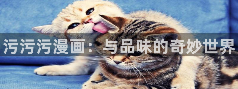 日韩漫画免：污污污漫画：与品味的奇妙世界