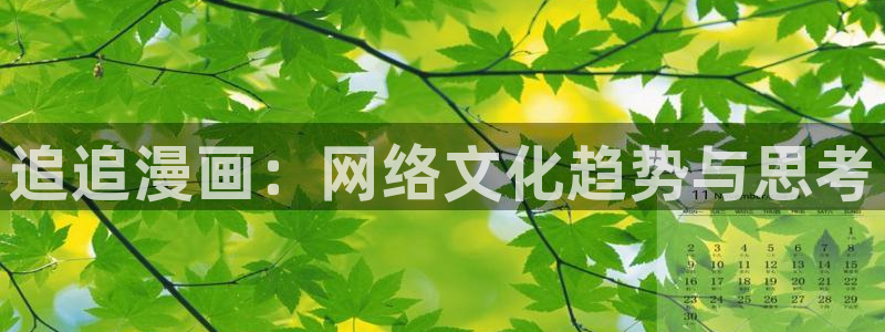 何敬书漫画韩漫：追追漫画：网络文化趋势与思考