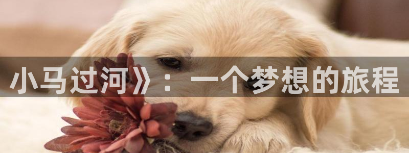 韩漫免费观看网站：小马过河》：一个梦想的旅程