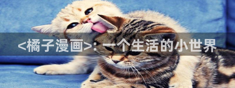 韩漫之家网站官网：<橘子漫画>: 一个生活的小世界