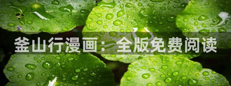 漫蛙manwa2韩漫：釜山行漫画：全版免费阅读