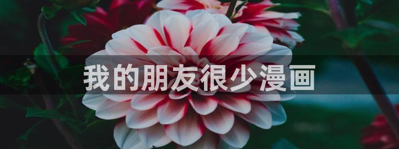日韩漫画免费无遮挡：我的朋友很少漫画
