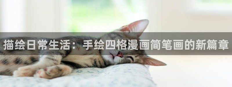 韩漫画在线阅读免费：描绘日常生活：手绘四格漫画简笔画的新篇章