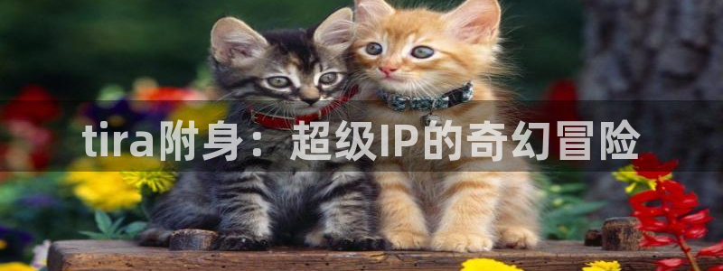 韩漫网免费阅读看漫画下拉