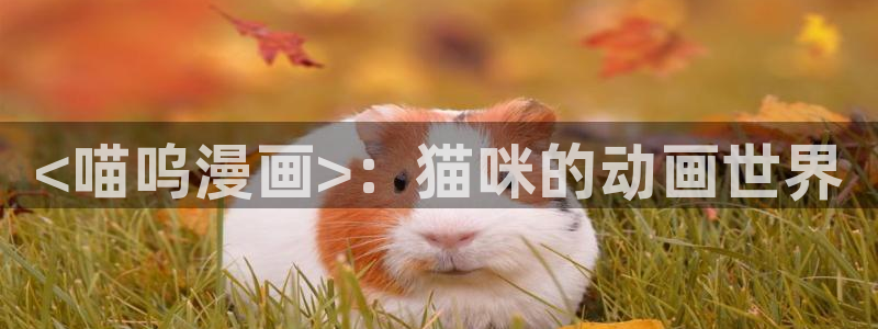 漫蛙韩漫推荐