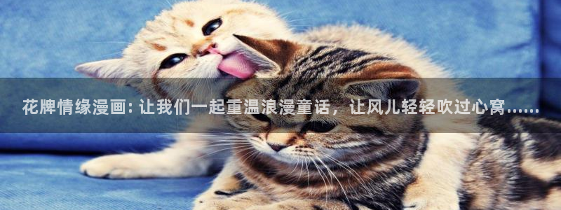 韩漫分身使我漫画