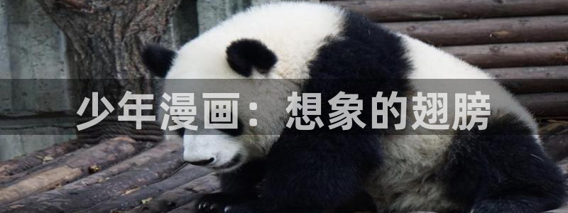 韩漫免费观看的网址：少年漫画：想象的翅膀