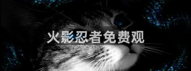羞羞韩漫在线免费看：火影忍者免费观