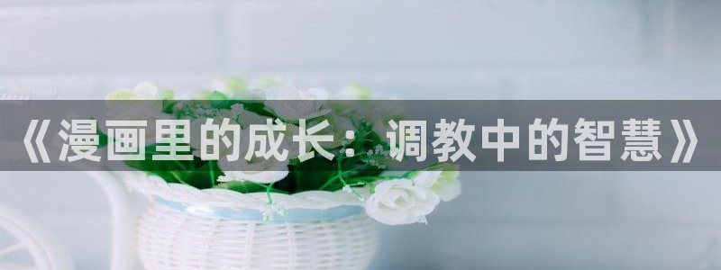 同居上下铺韩漫免费看：《漫画里的成长：调教中的智慧》